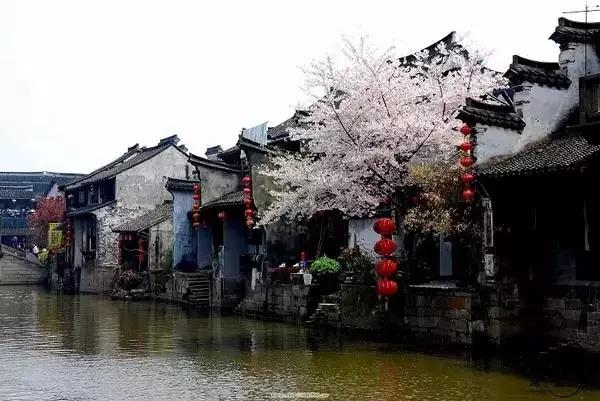 处理好人际关系的三个原则,怎么理解处理好人际关系