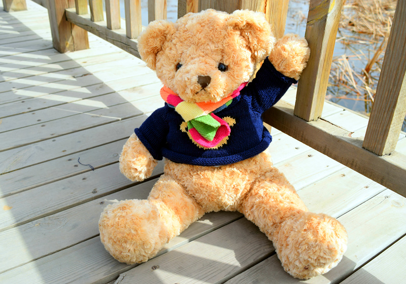 呆萌小熊蓝色,呆萌小熊所有视频