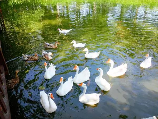 亚龙湾红树林酒店室内玩乐,亚龙湾红树林酒店潜水体验