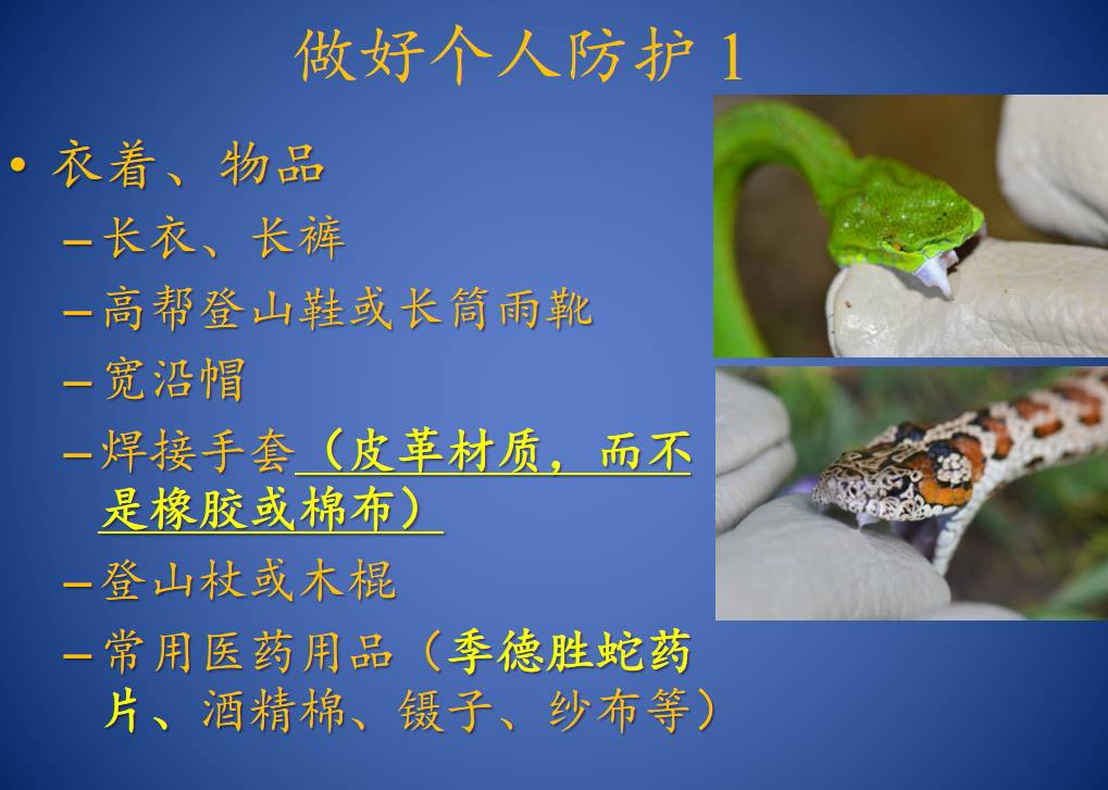 原来，这些救治毒蛇咬伤的方法都不靠谱