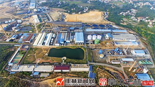 女子没吃早餐体内1000多颗结石,沈阳女子身体里取出400颗结石