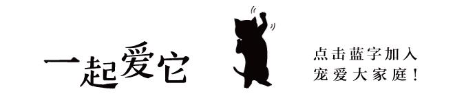 养宠小知识狗突然大量掉毛怎么办,狗狗一块皮肤发红掉毛怎么治疗