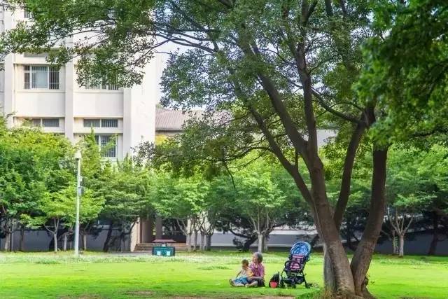 华中师大光谷学校,华中师大