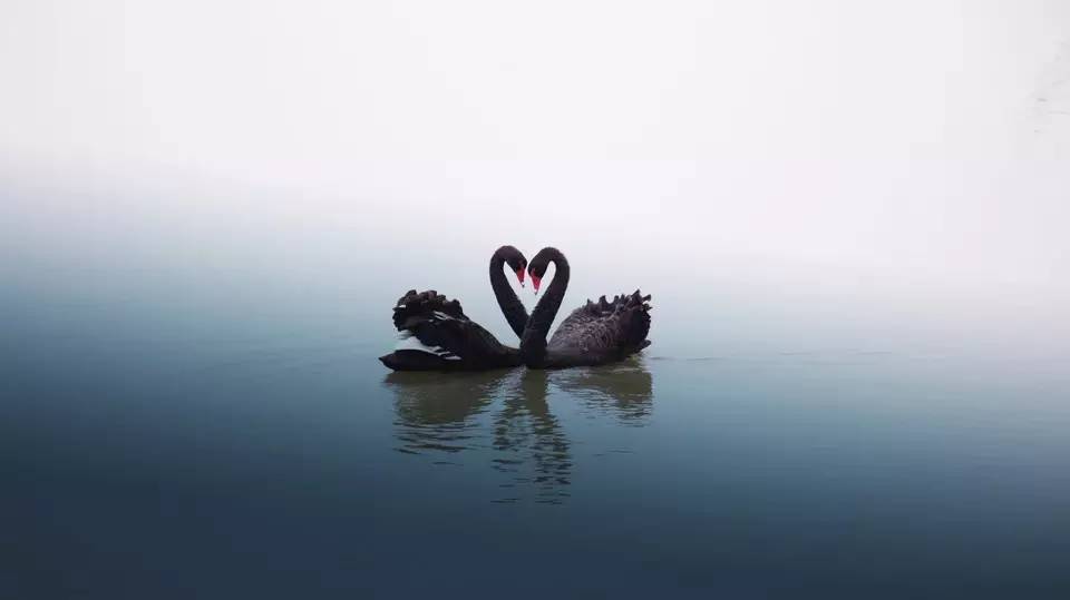 出大事啦！这家外汇经纪巨头居然被CFTC“踢出”美国市场