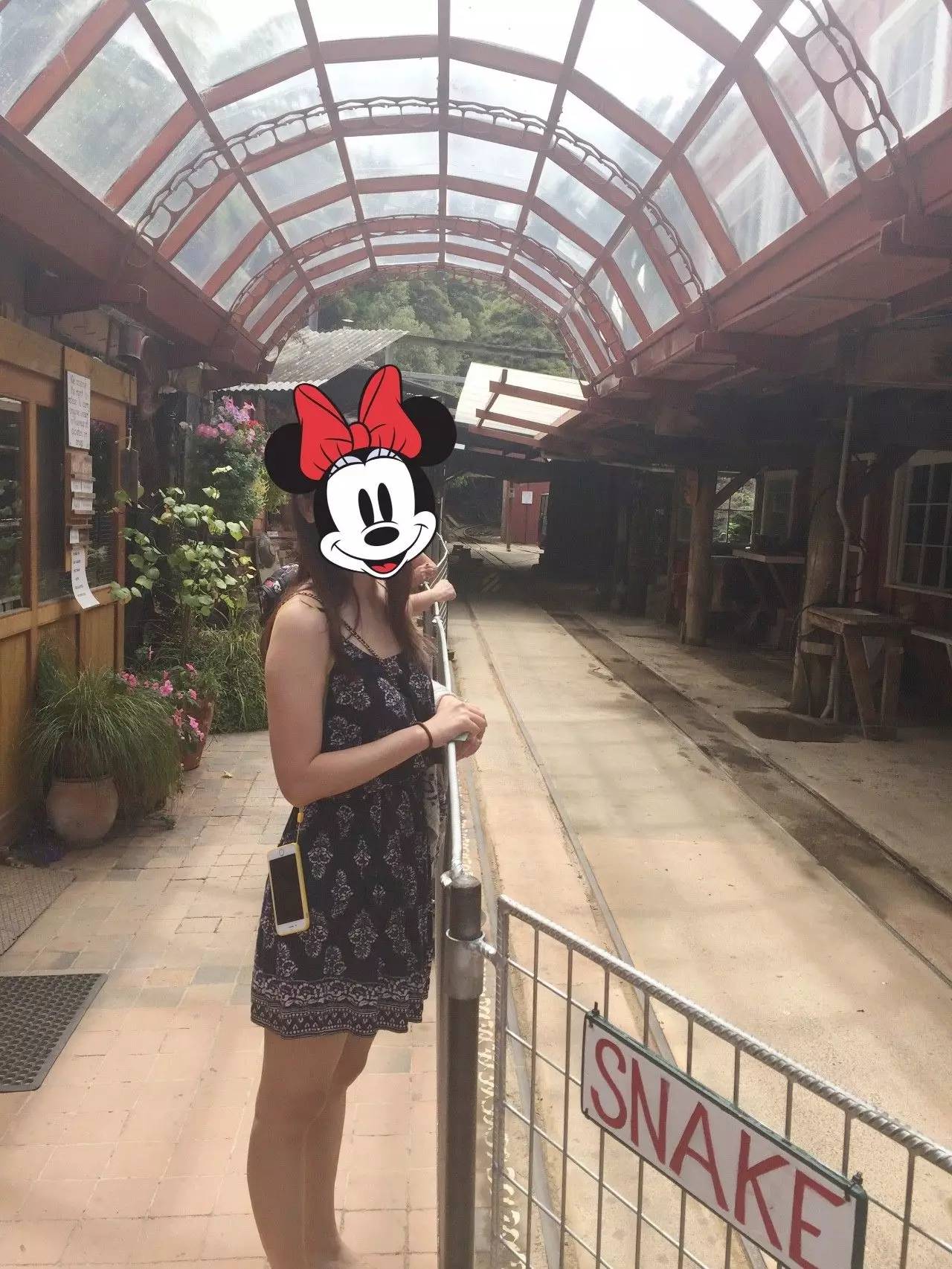 草绒连衣裙高档,小花裙连衣裙中长款