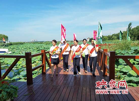 淮阳联社借力“荷花节”开辟宣传新阵地