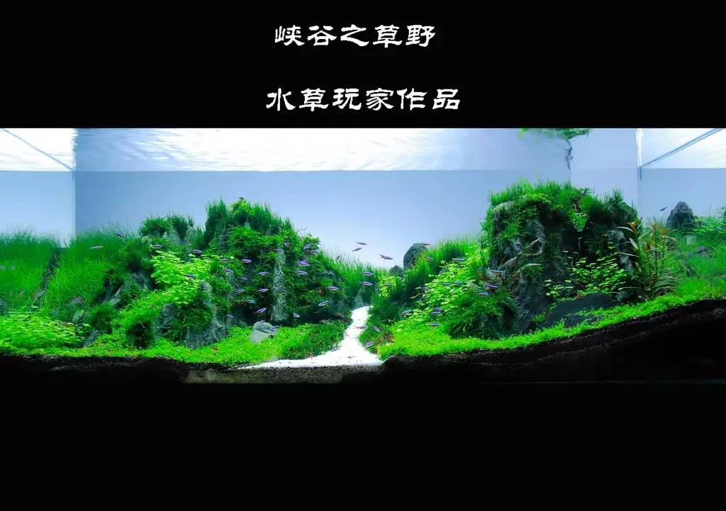 旅游时看到山川河流的感悟,旅游途中看到的景物