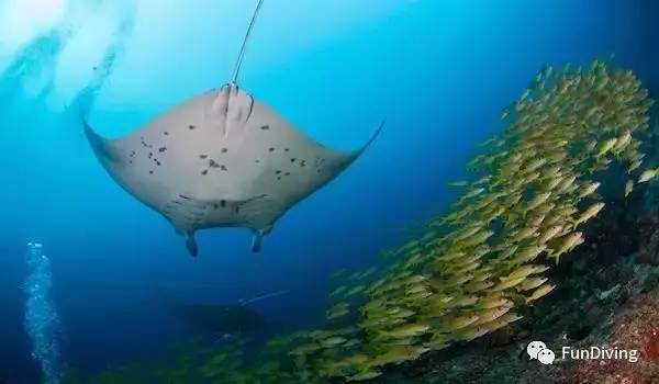 从入门级到朝圣级，船宿该怎么选？
