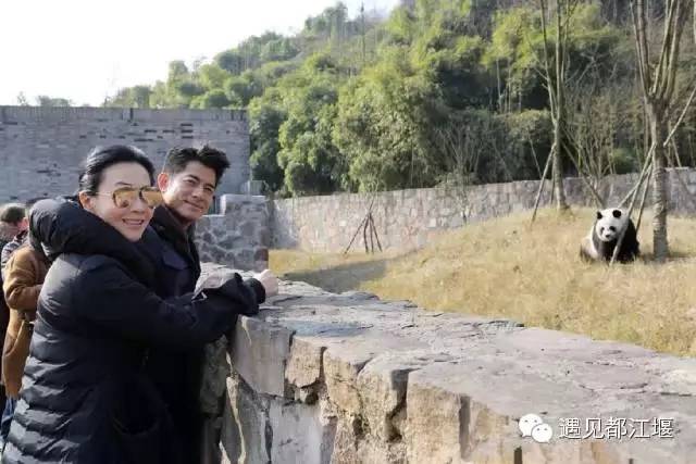 都江堰美景快乐之旅,都江堰特色旅游线路推荐