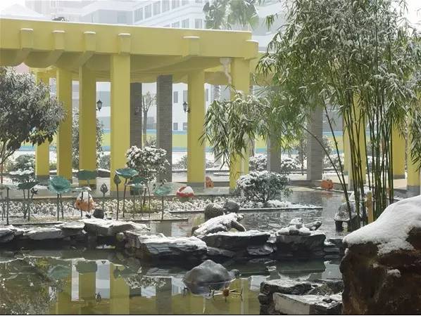 杭州最贵的学校一年多少钱,杭州顶级贵族学校