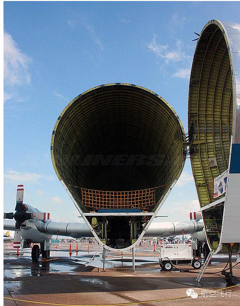 变异变形飞机,变异飞机鹦鹉