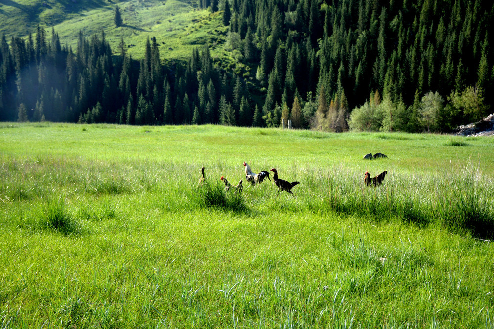 行者无疆-6月乌孙，漂洋过海为圣湖，翻山越岭因初心