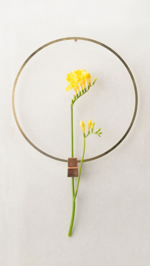 氧气花瓶,空气感的花瓶图片大全