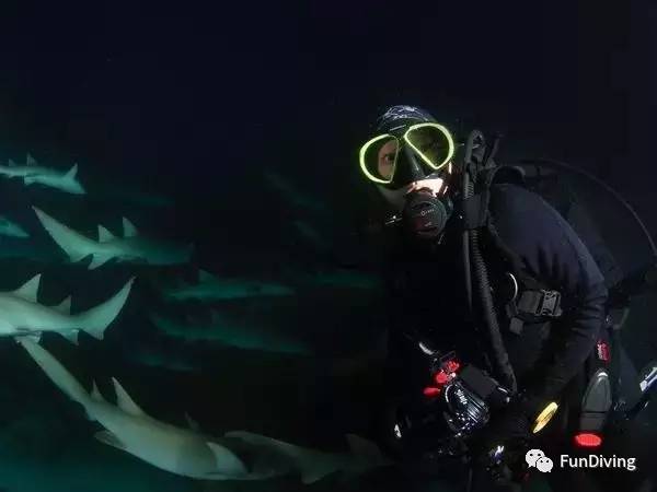 从入门级到朝圣级，船宿该怎么选？