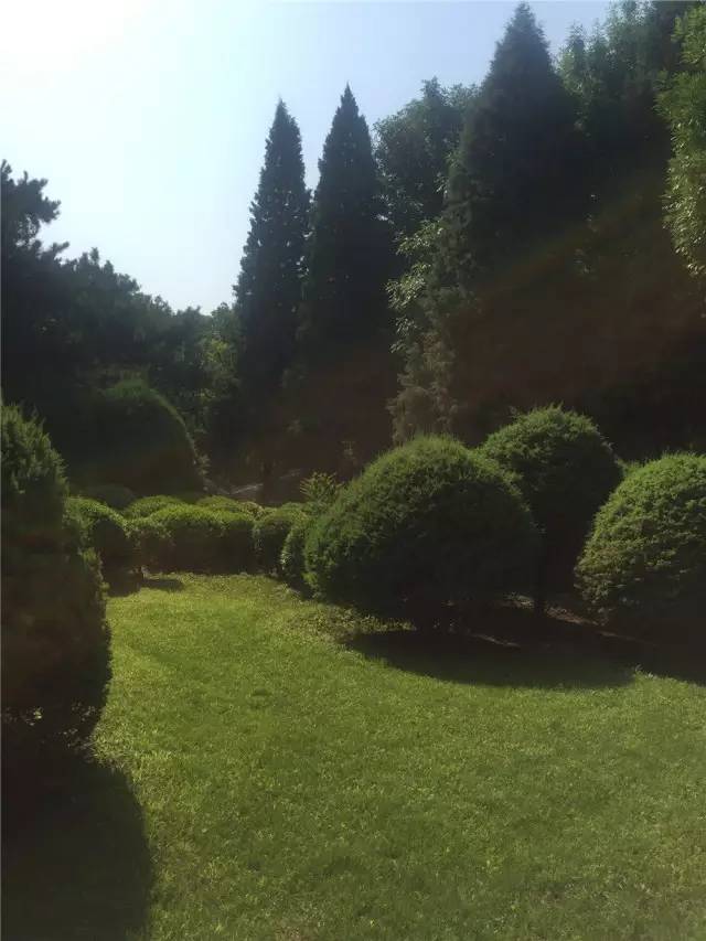 关于园区灭虫通知,昌平灭虫