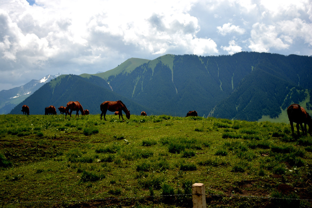行者无疆-6月乌孙，漂洋过海为圣湖，翻山越岭因初心
