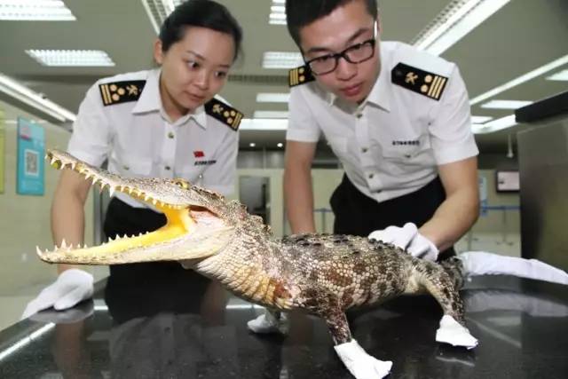 「热点」暑运高峰因喷雾被拦?你要知道这些出行的“黄金法则”!