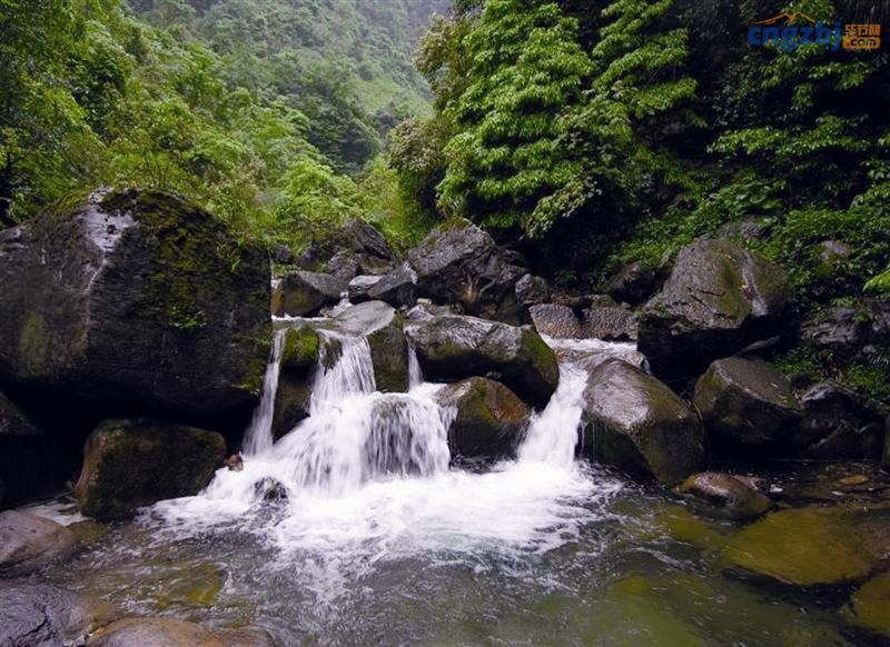 贵州值得一去的原生态村在哪里,贵州世界十大森林旅游胜地之一