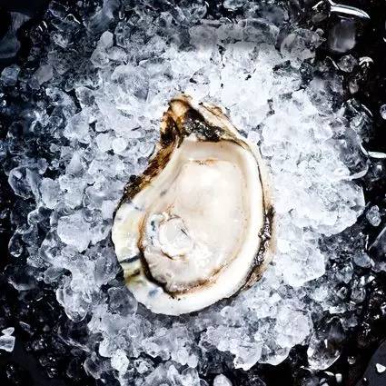 贝隆生蚝,贝隆生蚝和吉拉多生蚝哪种好