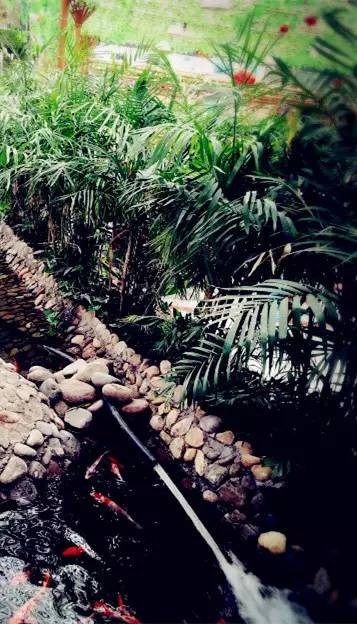 旅游想找个伴去哪里,寻一处幽静之地享一份悠然与惬意