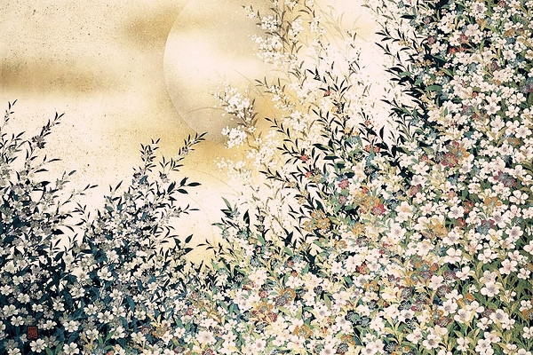 「日新」俳(pái)句之美:那么短的句子,那么长的情感