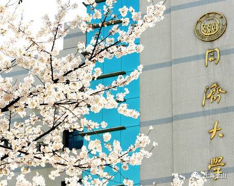 穿越百年！这里是上海最早的“大学城”