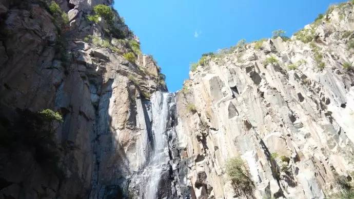 秦皇岛适合带狗去的地方,北戴河的民宿带狗的可以去吗