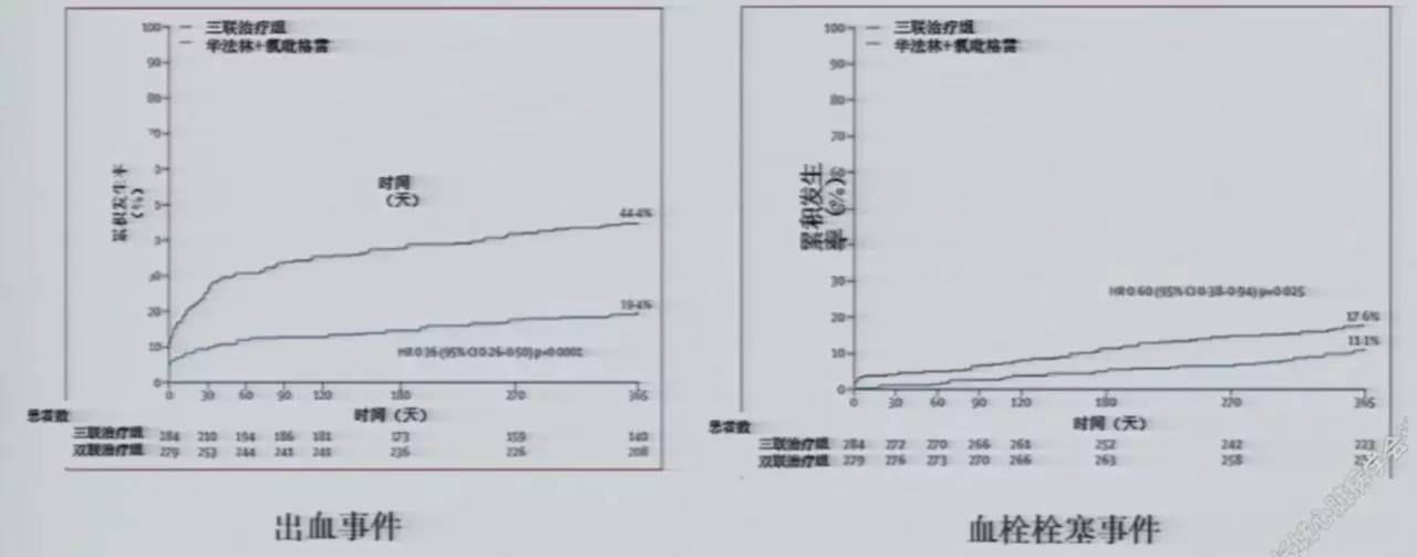 冠心病合并房颤的抗栓指南,房颤合并冠脉支架的抗栓治疗指南