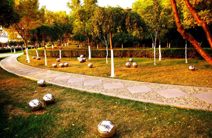 秦皇岛适合带狗去的地方,北戴河的民宿带狗的可以去吗