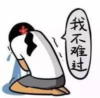 海关扣货低价出？Refa188块你居然信了？