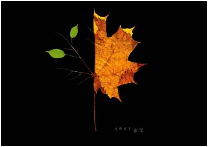 子宫内膜癌的诊断与治疗推荐,子宫内膜癌ki67是60%怎么治疗