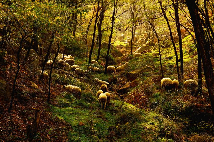 「烟台故事·十四」艾山传说