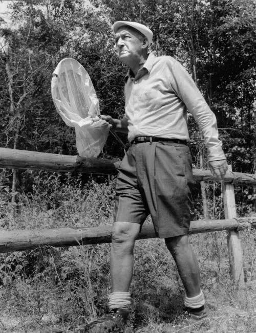 普通人创作在干粗活，而他则在拼接卡片？（1237期）