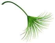 南京全民健身中心篮球馆,南京全民体育活动