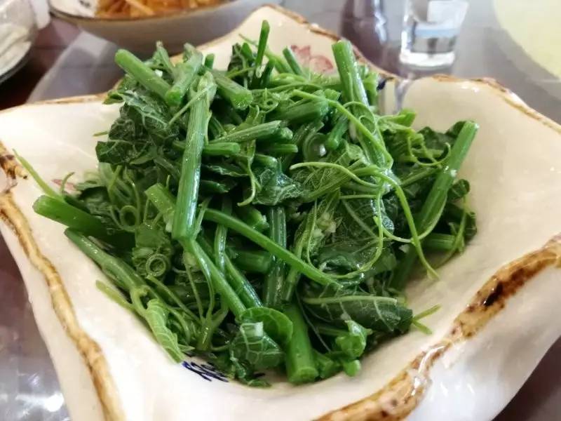 汉中最近最火农家乐,汉中最有特色的农家乐