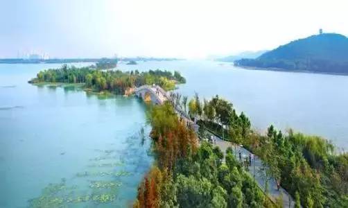 滨湖区如何长得更高大、更强壮、更英俊，小敏书记明确新路径