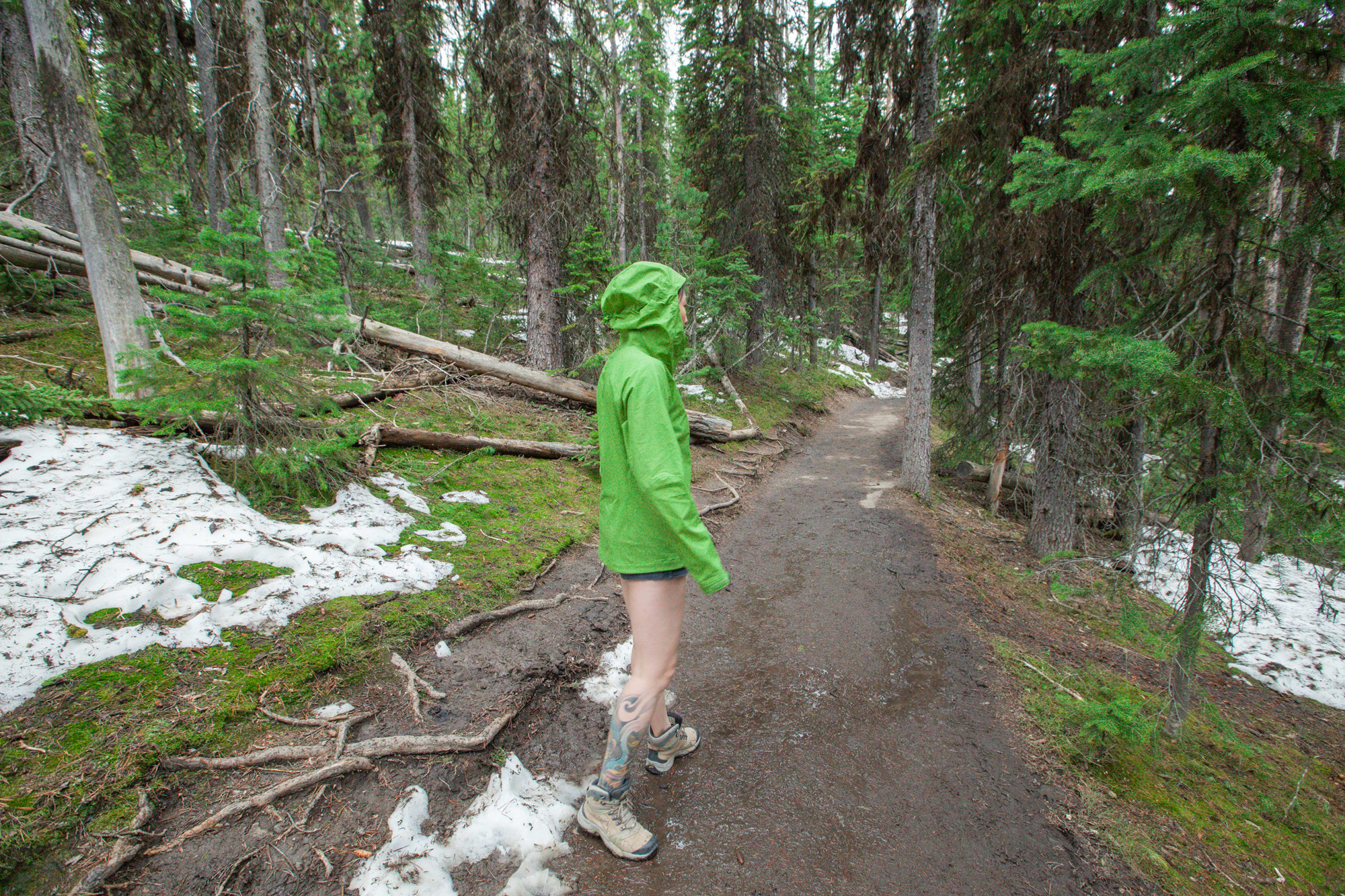 女士美式冲锋衣测评,patagonia冲锋衣适合温度