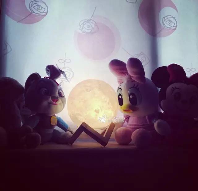 提升生活幸福感立竿见影的东西,1000块以内可以提升幸福感的东西