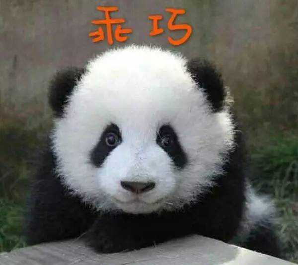 欧美有哪些开价彩妆,大牌彩妆哪个国家买的最便宜