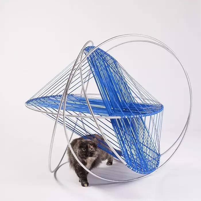 盘点那些实用的宠物生活用品,猫狗最实用的宠物用品