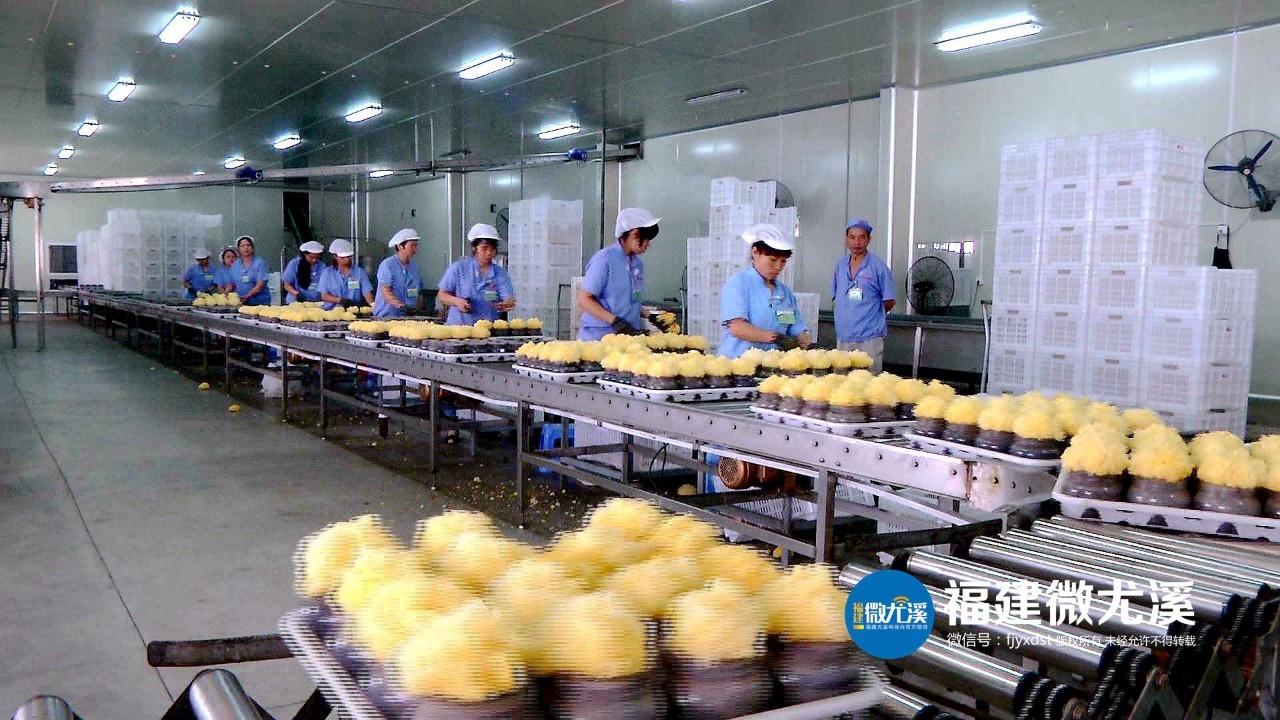 「厉害了」昨晚,尤溪洋中这场精彩的演出,超4万人在线观看!你有没有看?