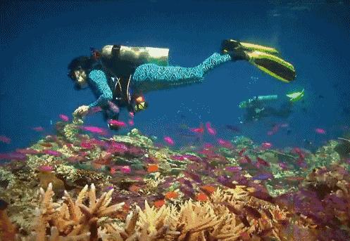 濡欏鐤楁剤,濡欏