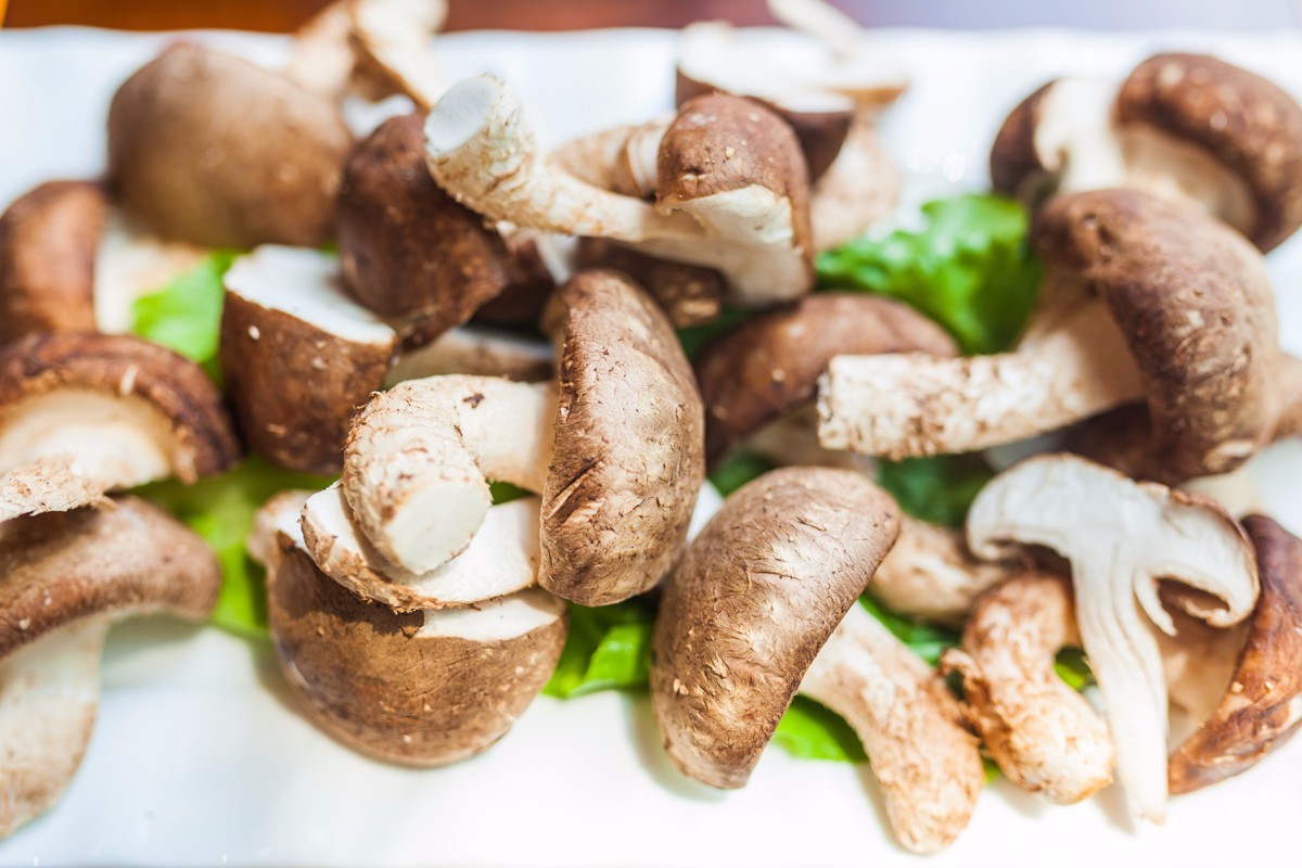 好吃得板!火爆兴文、珙县……的串串香火锅终于开到宜宾啦!一周吃7次都不够