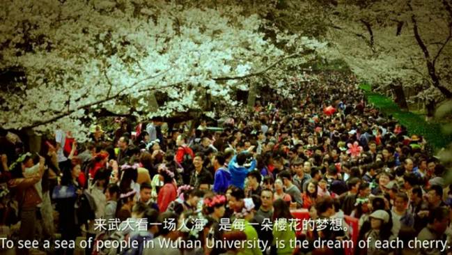 武汉确实是一座有魅力的城市,武汉这座巨大的城市