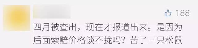 三只松鼠开心果有质量问题吗,开心果三只松鼠清仓处理