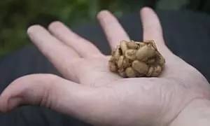 奇葩啤酒哪个牌子好喝,新奇的啤酒有哪些