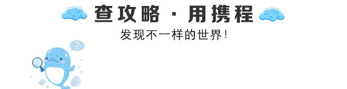 拉斯维加斯的魅力与神秘,拉斯维加斯神秘之城梦幻之旅