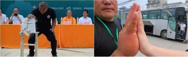 忽如一夜春风来下三句,忽如一夜春风来诗的题目