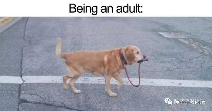 在世界最顶级的商学院读书,在全世界排名前10的大学读书