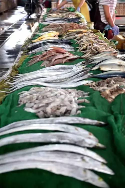 日照开海后什么时候买海鲜,日照开海首日海鲜